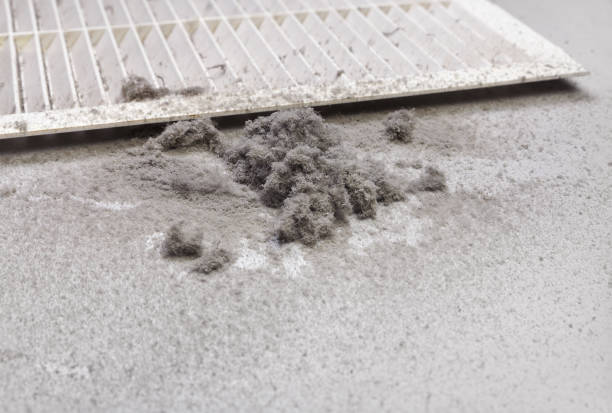 Best Professional Duct Cleaning Services  in Fairlea, WV